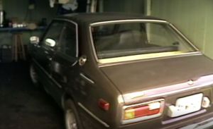 A brown sedan pictured is Lisa's car.